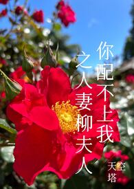 欢迎来到极乐世界